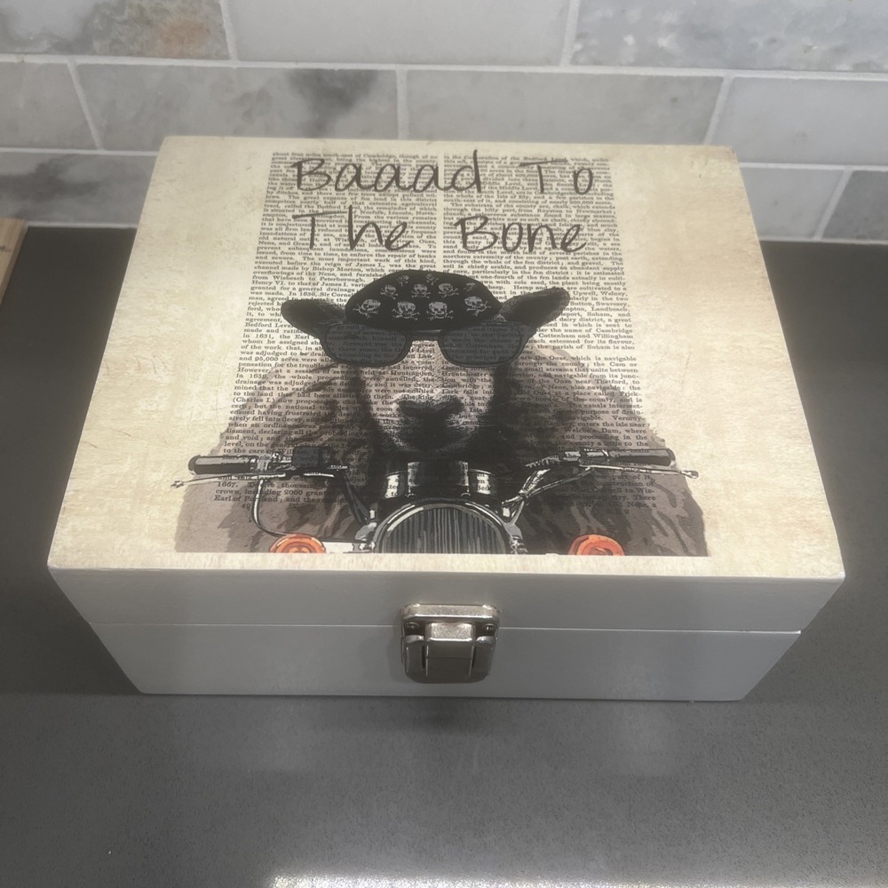 Baaad Space To The Bone Trinket Box - Picture 1 of 9